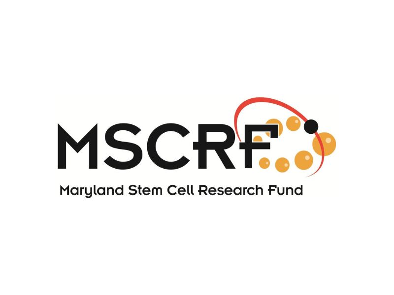 Making an Important Proportion of Funds Available to Accelerate Innovation in Regenerative Medicine