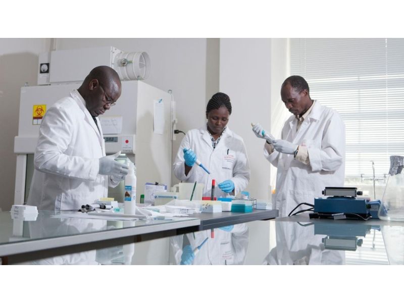 Novartis’ GanLum Shows Breakthrough Phase 3 Success, Poised to Become First New Malaria Therapy in 25 Years